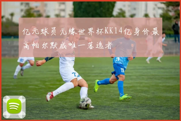 亿元球员无缘世界杯KK14亿身价最高帕尔默成唯一落选者